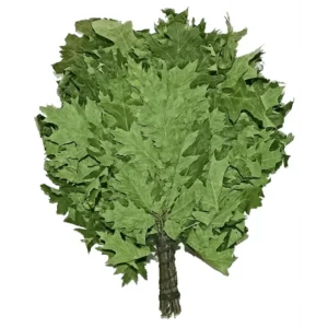 TESLI CANADIAN OAK Sauna Venik/ Whisk
